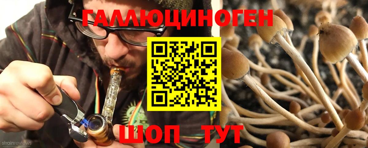 Галлюциногенные грибы ЛСД  Галлюциногенные грибы Psilocybe  Вход с VPN  Пушкино 